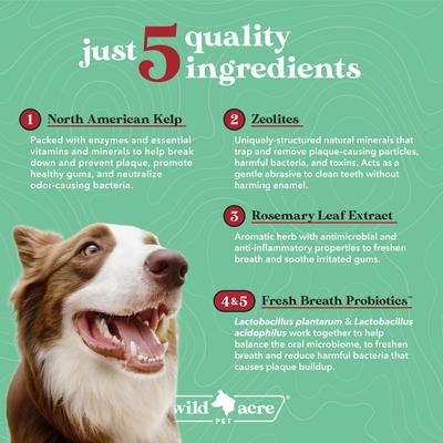 Show full view: Wild Acre Pet Advanced Dental Greens Powder Supplement for Dogs, 2.5-oz jar slide 7 of 7