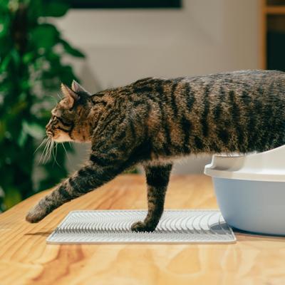 Show full view: Pidan Cat Litter Mat, 19.4-in slide 8 of 9