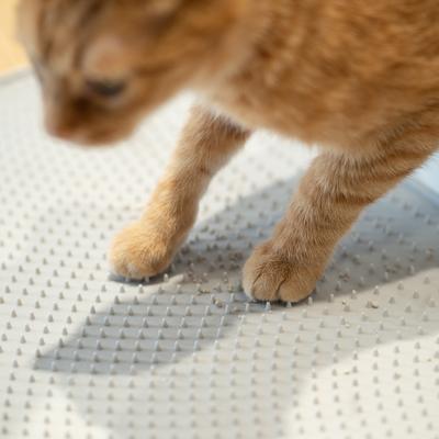 Show full view: Pidan Cat Litter Mat, 19.4-in slide 7 of 9