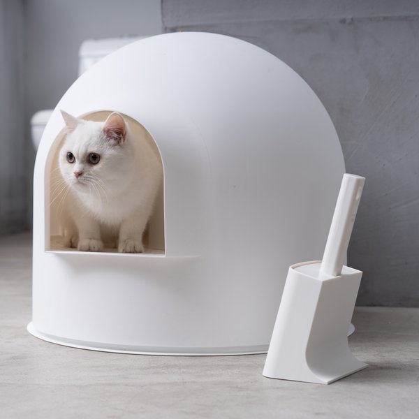 Show full view: Pidan Cat Litter Scoop Set slide 5 of 7