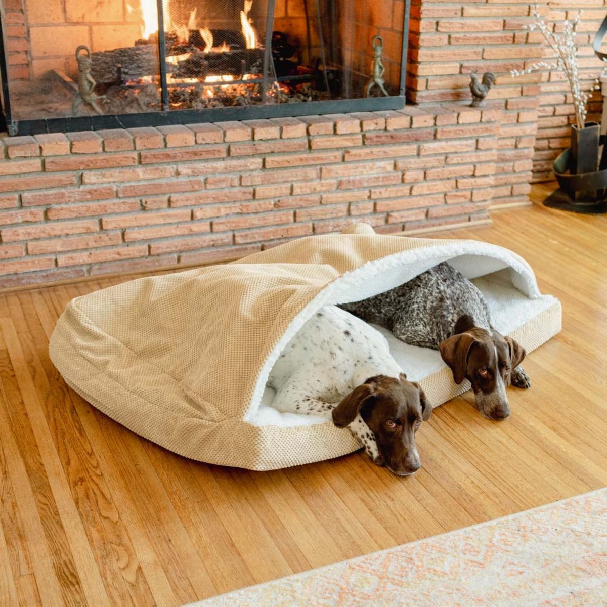 Snoozer Pet Products Forgiveness Microsuede Cozy Cave Covered Dog Bed with Removable Cover, Marmot Sand, Medium