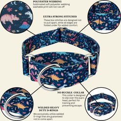 Country Brook Petz HossFit Jr Dinosaurs Wide Martingale Dog Collar, Medium slide 2 of 9