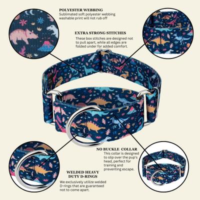 Show full view: Country Brook Petz HossFit Jr Dinosaurs Wide Martingale Dog Collar, X-Large slide 8 of 9