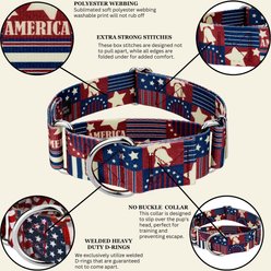 Country Brook Petz HossFit Jr Spirit of '76 Wide Martingale Dog Collar, Red, Medium slide 2 of 9