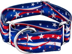 Country Brook Petz HossFit Jr Star Spangled Wide Martingale Dog Collar, X-Large