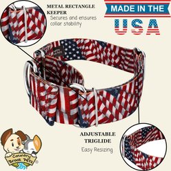 Country Brook Petz HossFit Jr Patriotic Tribute Wide Martingale Dog Collar, Medium slide 2 of 9