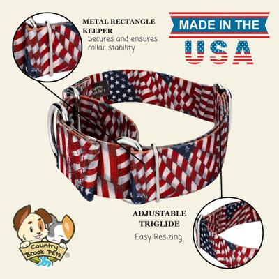 Show full view: Country Brook Petz HossFit Jr Patriotic Tribute Wide Martingale Dog Collar, Medium slide 3 of 10