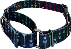 Country Brook Petz Colorful Arrows Gunmetal Martingale Dog Collar, Black, Medium: 15 to 21-in neck, 1-in wide slide 2 of 7