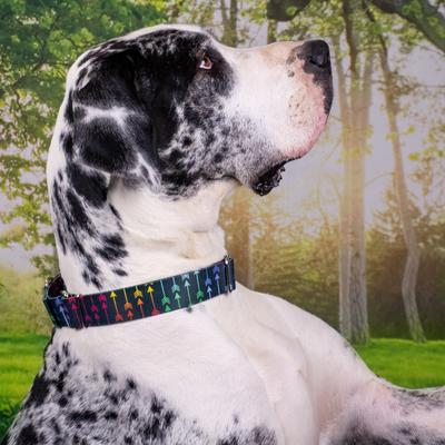 Show full view: Country Brook Petz Colorful Arrows Gunmetal Martingale Dog Collar, Black, Large: 18 to 26-in neck, 1-in wide slide 2 of 7