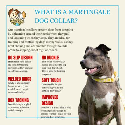 Show full view: Country Brook Petz HossFit Jr Pink Lemonade Wide Martingale Dog Collar, Large slide 8 of 9