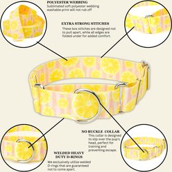 Country Brook Petz HossFit Jr Pink Lemonade Wide Martingale Dog Collar, Large slide 2 of 9