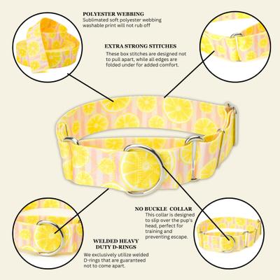 Show full view: Country Brook Petz HossFit Jr Pink Lemonade Wide Martingale Dog Collar, Large slide 9 of 9