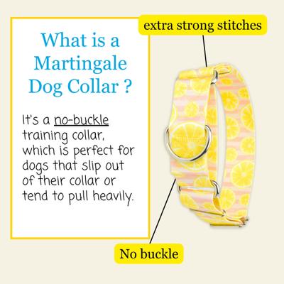 Show full view: Country Brook Petz HossFit Jr Pink Lemonade Wide Martingale Dog Collar, Large slide 6 of 9