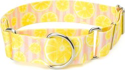 Country Brook Petz HossFit Jr Pink Lemonade Wide Martingale Dog Collar, Large