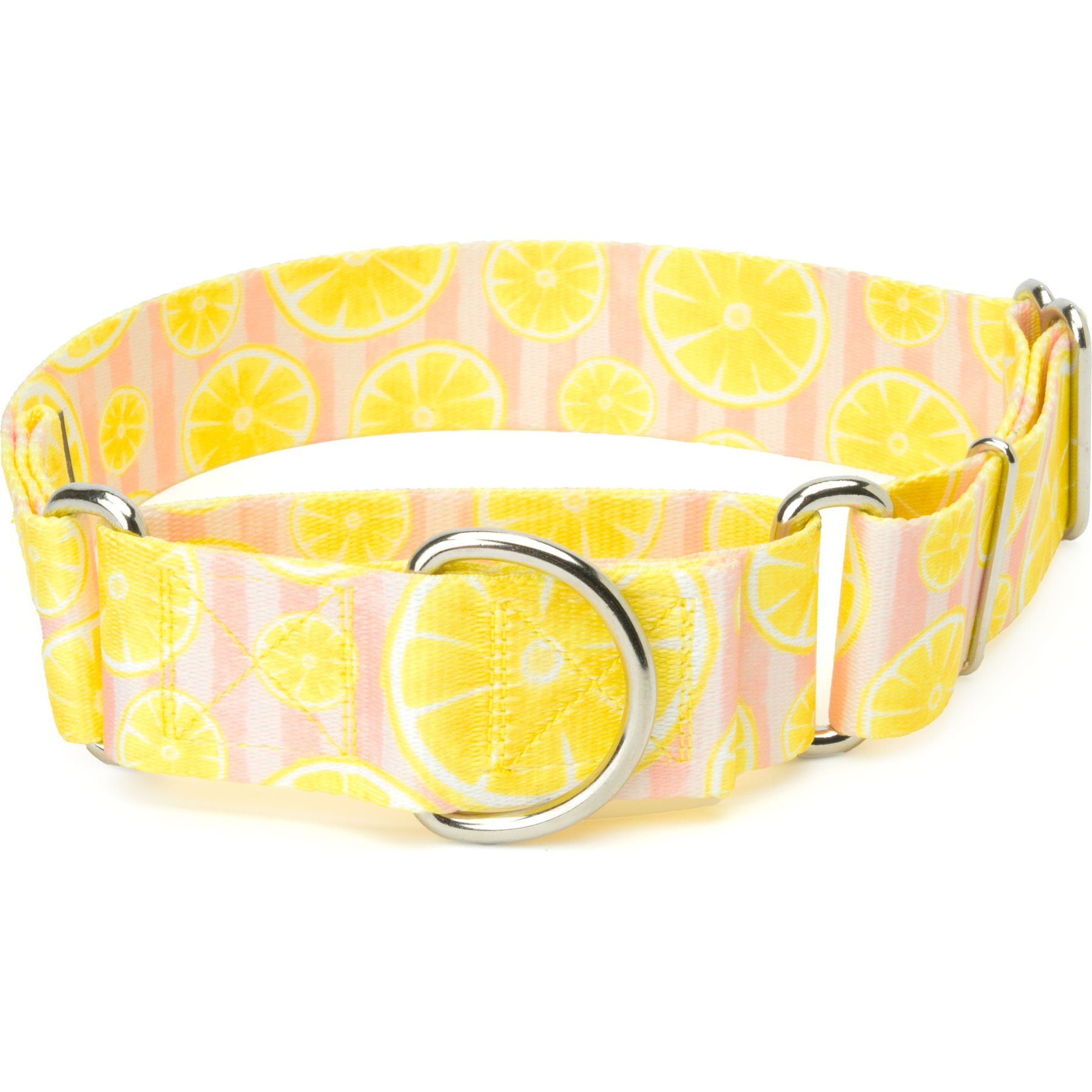 Country Brook Petz HossFit Jr Pink Lemonade Wide Martingale Dog Collar, Large