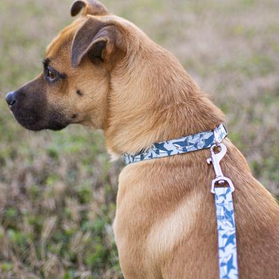 Show full view: Country Brook Petz HossFit Jr Sharks Wide Martingale Dog Collar, Large slide 3 of 9