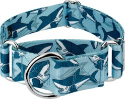 Country Brook Petz HossFit Jr Sharks Wide Martingale Dog Collar, Large