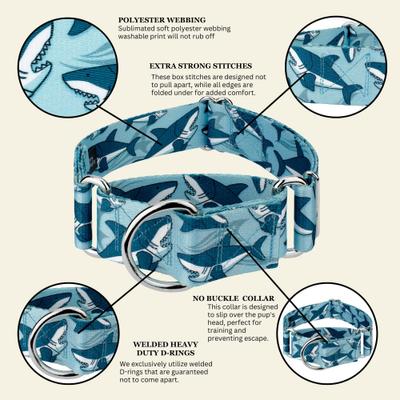 Show full view: Country Brook Petz HossFit Jr Sharks Wide Martingale Dog Collar, Large slide 8 of 9