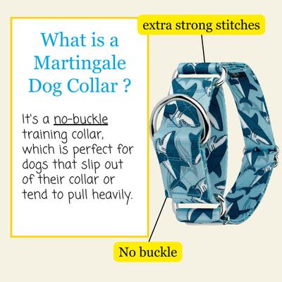 Show full view: Country Brook Petz HossFit Jr Sharks Wide Martingale Dog Collar, Large slide 5 of 9