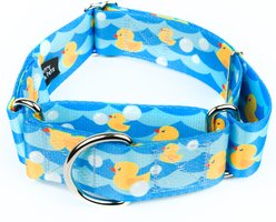 Country Brook Petz HossFit Jr Just Ducky Wide Martingale Dog Collar, Blue, Large: 18 to 26-in neck, 1.5-in wide