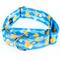 Show in main carousel: Country Brook Petz HossFit Jr Just Ducky Wide Martingale Dog Collar, Blue, Medium: 15 to 21-in neck, 1.5-in wide slide 1 of 8
