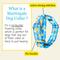 Show in main carousel: Country Brook Petz HossFit Jr Just Ducky Wide Martingale Dog Collar, Blue, Medium: 15 to 21-in neck, 1.5-in wide slide 3 of 8