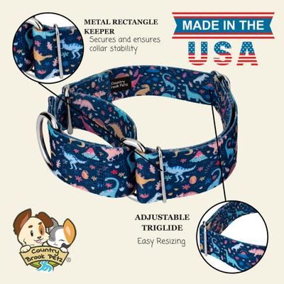 Show full view: Country Brook Petz HossFit Jr Dinosaurs Wide Martingale Dog Collar, X-Large slide 9 of 9