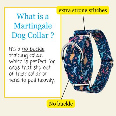 Show full view: Country Brook Petz HossFit Jr Dinosaurs Wide Martingale Dog Collar, X-Large slide 5 of 9