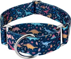 Country Brook Petz HossFit Jr Dinosaurs Wide Martingale Dog Collar, Medium