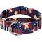 Show in main carousel: Country Brook Petz HossFit Jr Spirit of '76 Wide Martingale Dog Collar, Red, Medium slide 1 of 9