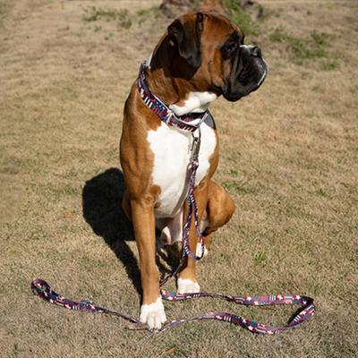 Show full view: Country Brook Petz HossFit Jr Spirit of '76 Wide Martingale Dog Collar, Red, Medium slide 4 of 9