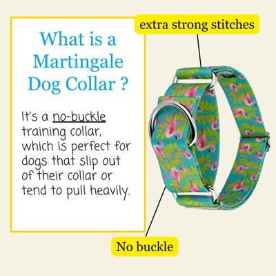 Show full view: Country Brook Petz HossFit Jr Flamingos Wide Martingale Dog Collar, Large slide 7 of 10