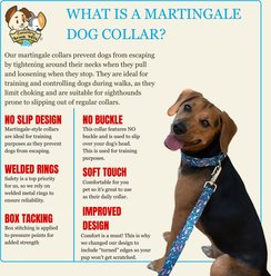 Country Brook Petz HossFit Jr Flamingos Wide Martingale Dog Collar, Large slide 2 of 9