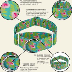 Country Brook Petz HossFit Jr Flamingos Wide Martingale Dog Collar, X-Large slide 2 of 9