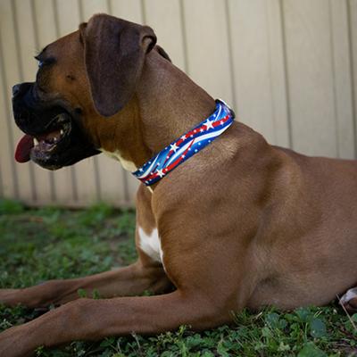 Show full view: Country Brook Petz HossFit Jr Star Spangled Wide Martingale Dog Collar, Large slide 4 of 9