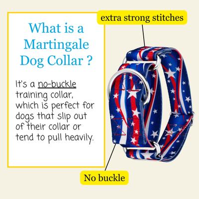 Show full view: Country Brook Petz HossFit Jr Star Spangled Wide Martingale Dog Collar, Large slide 6 of 9