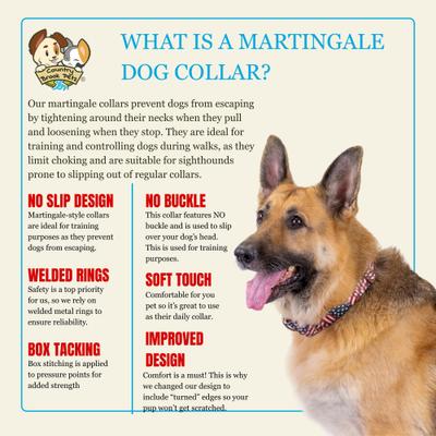 Show full view: Country Brook Petz HossFit Jr Patriotic Tribute Wide Martingale Dog Collar, Medium slide 9 of 10