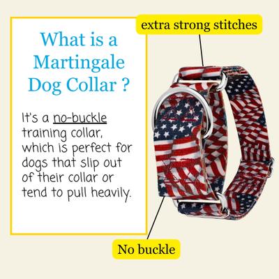 Show full view: Country Brook Petz HossFit Jr Patriotic Tribute Wide Martingale Dog Collar, Medium slide 7 of 10