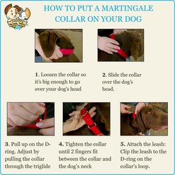 Country Brook Petz HossFit Jr Patriotic Tribute Wide Martingale Dog Collar, Large slide 2 of 9