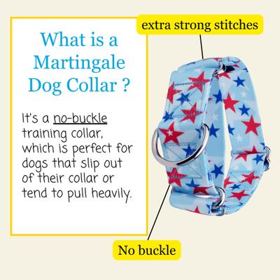 Show full view: Country Brook Petz HossFit Jr American Celebration Wide Martingale Dog Collar, Blue, Medium: 15 to 21-in neck, 1.5-in wide slide 3 of 8