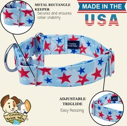 Country Brook Petz HossFit Jr American Celebration Wide Martingale Dog Collar, Blue, Large: 18 to 26-in neck, 1.5-in wide slide 2 of 8