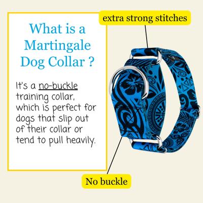 Show full view: Country Brook Petz HossFit Jr Blue Polynesian Wide Martingale Dog Collar, Medium slide 4 of 9