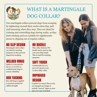 Show full view: Country Brook Petz HossFit Pride Wide Martingale Dog Collar, Black, X-Large: 23 to 31-in neck, 1.5-in wide slide 8 of 9