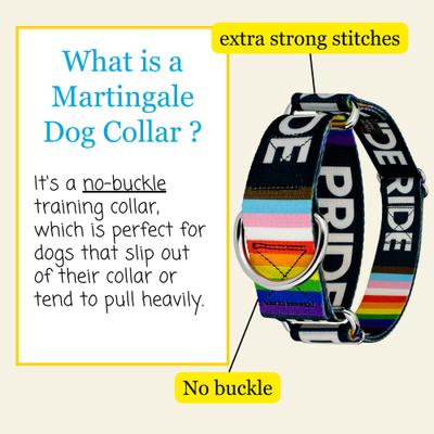 Show full view: Country Brook Petz HossFit Pride Wide Martingale Dog Collar, Black, X-Large: 23 to 31-in neck, 1.5-in wide slide 6 of 9