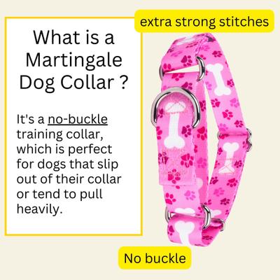 Show full view: Country Brook Petz Oh My Dog Martingale Dog Collar, Pink, Medium slide 6 of 9