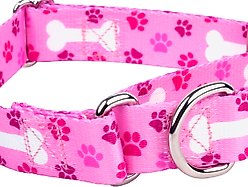 Country Brook Petz Oh My Dog Martingale Dog Collar, Pink, Medium slide 2 of 9