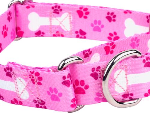 Show full view: Country Brook Petz Oh My Dog Martingale Dog Collar, Pink, Medium slide 3 of 9