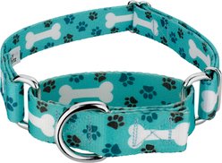 Country Brook Petz Oh My Dog Martingale Dog Collar, Teal, Small