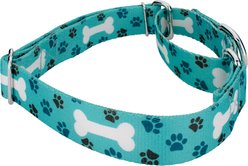 Country Brook Petz Oh My Dog Martingale Dog Collar, Teal, XX-Small slide 2 of 5