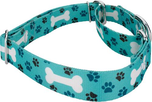 Show full view: Country Brook Petz Oh My Dog Martingale Dog Collar, Teal, Small slide 5 of 6